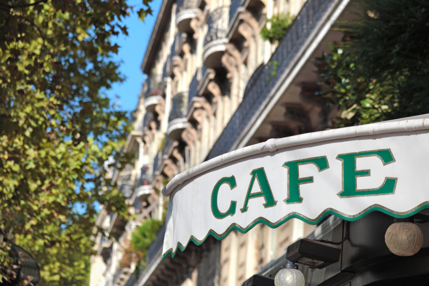 https://www.freepik.com/free-photo/cafe-canopy-paris_1101701.htm#page=4&query=restaurant%20sign&position=1&from_view=search&track=country_rows_v1